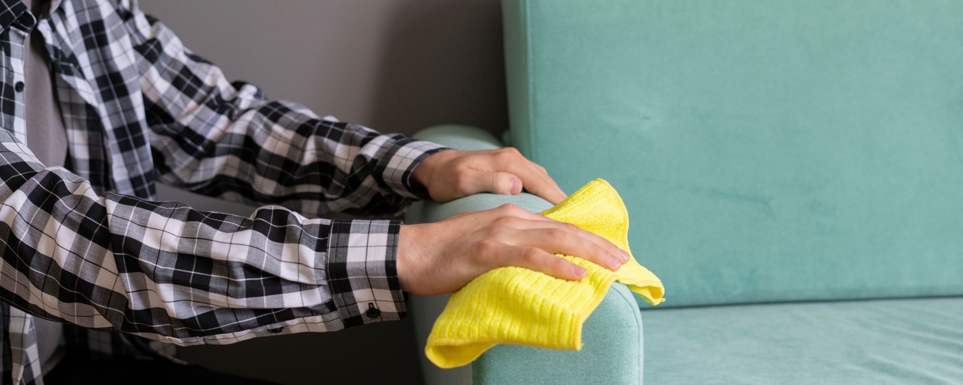 How to clean dog urine from a microfiber couch