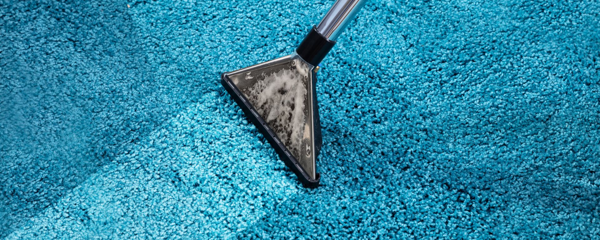 What Do I Need To Know About Carpet Cleaning