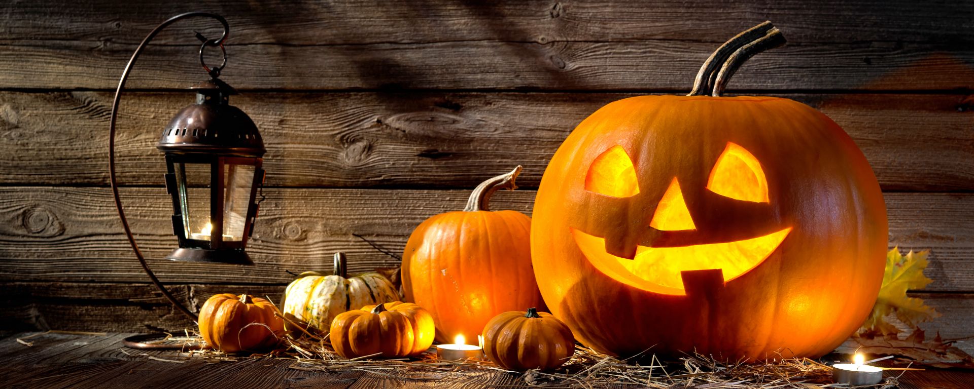 The Complete Halloween Guide To Celebrate The Spooky Day