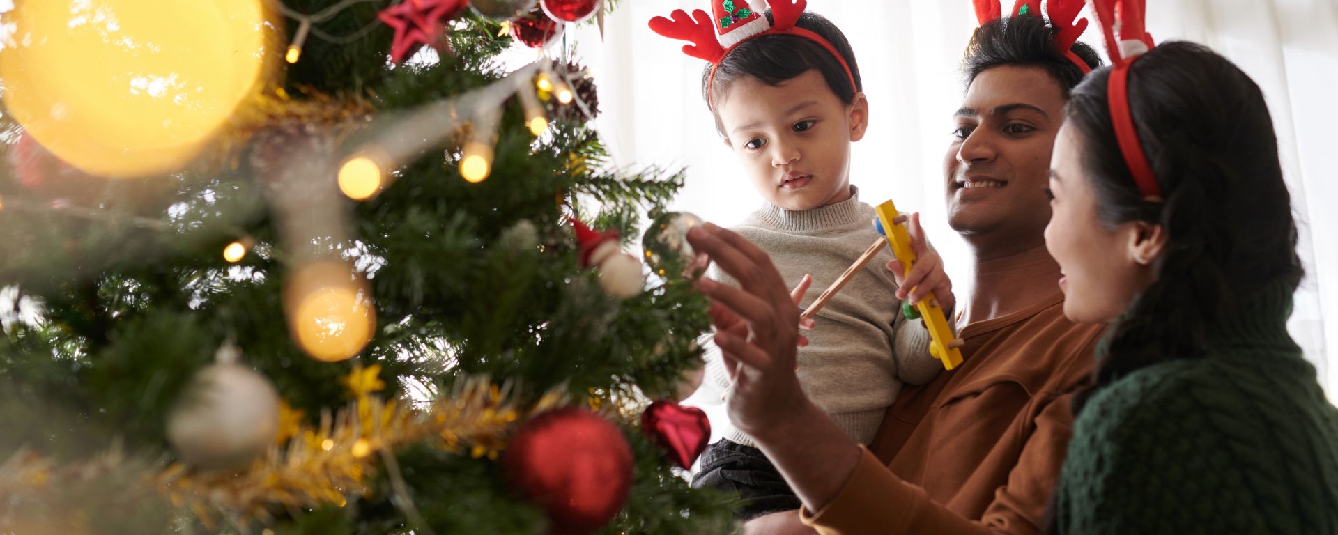 When Is A Good Time To Put Up Your Christmas Tree?