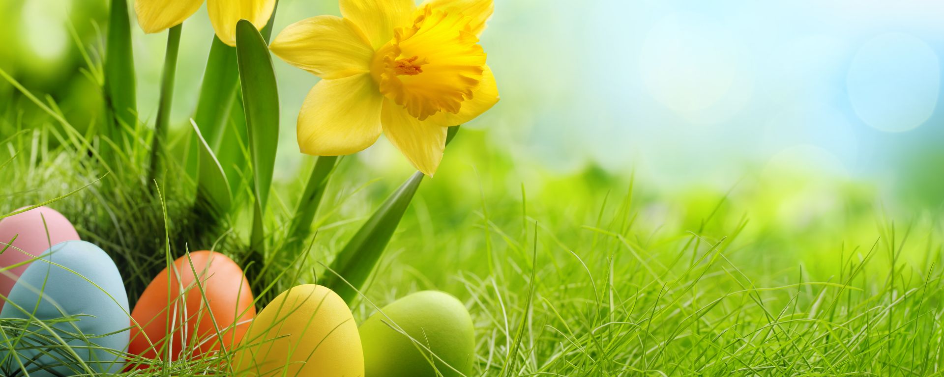 WIN With SweepSouth - Find the Answers in Our Egg-Citing Easter Hunt