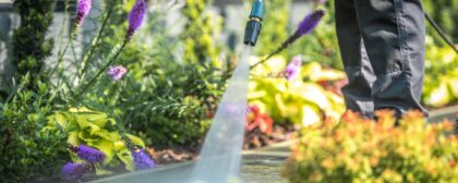 Person power washing a garden path