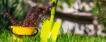 Garden spade dug into grass next to a potplant