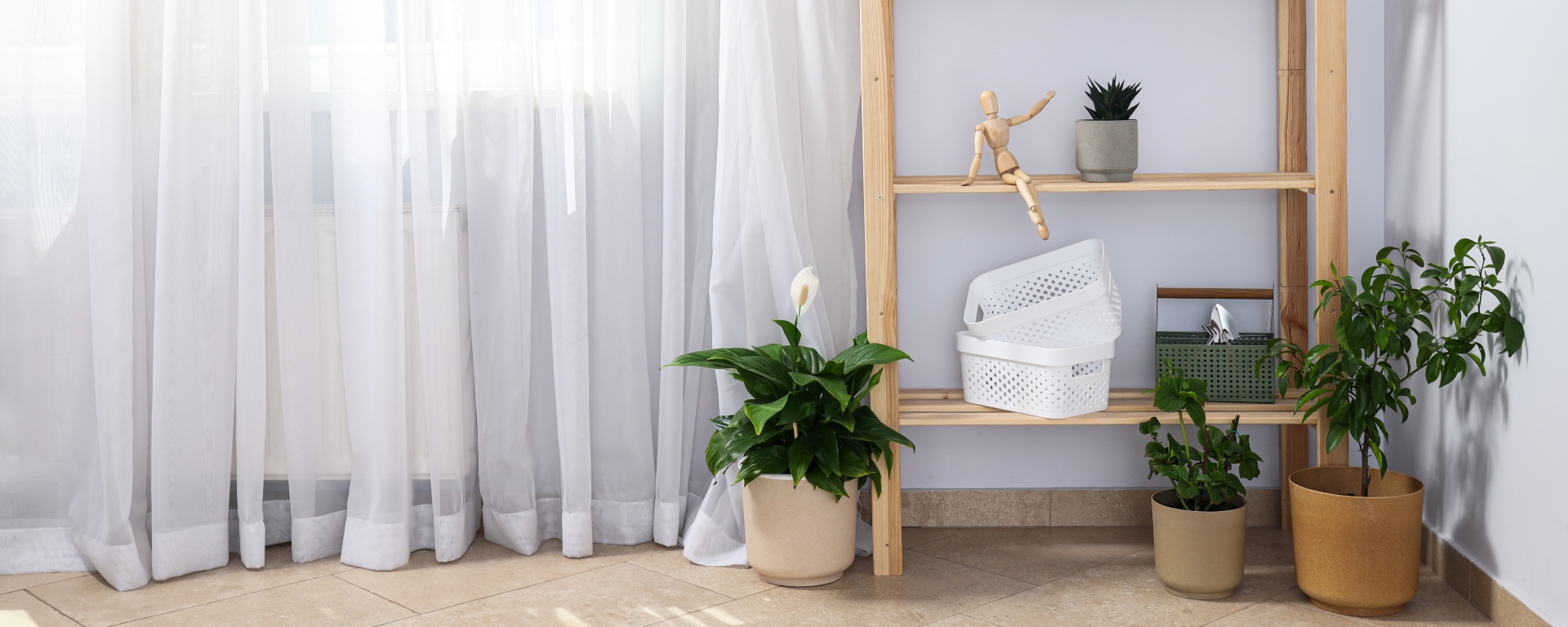 Indoor area with a wooden stand, plants, and a few other stand features